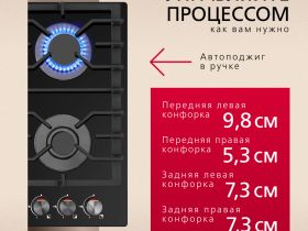 Газовая панель Hansa BHKS610301