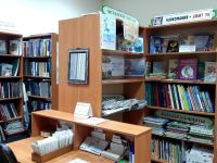 Мамаширская сельская библиотека – филиал № 22