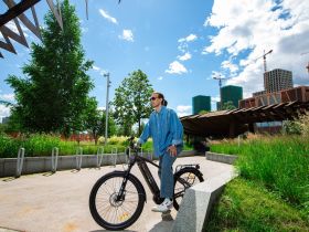 Электровелосипед Alpine Bike Dammastock, год 2025, цвет Коричневый, ростовка 18