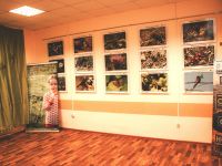 Музейно-выставочный комплекс «Жигулёвская мозаика»