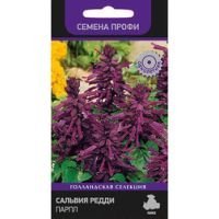 Сальвия Редди Парпл (Семена Профи)