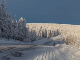Автотур "Колыма". Маршрут: Якутск-Оймякон-Магадан (Зимний сезон)