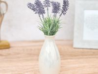 Цветок Зумпано/Zumpano