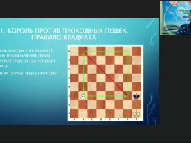Международный вебинар «Пешечный эндшпиль»