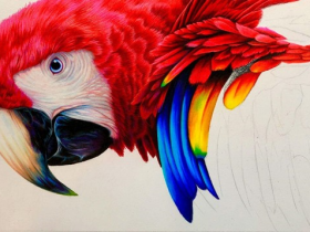 Карандаш цветной Derwent "Chromaflow" Тропический дождь