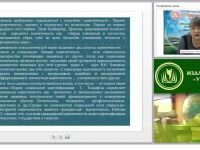 Дополнительное образование как инструмент формирования ценностного мира ребенка и гражданской идентичности подрастающего поколения