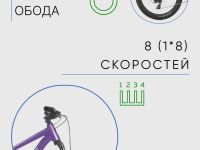 Подростковый велосипед Format 6612 24, год 2022, цвет Фиолетовый