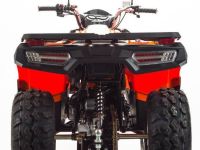 Квадроцикл MOTOLAND 200 Max