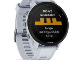 Смарт-часы Garmin Forerunner 955 (White) (010-02638-31)