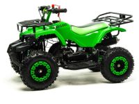 Квадроцикл MOTOLAND 50E Scorpion (2021 Г.)