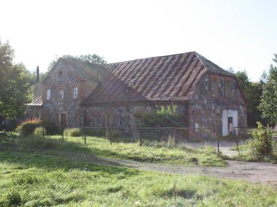 Остатки усадебного парка