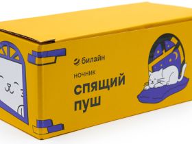 Ночник «Спящий Пуш»