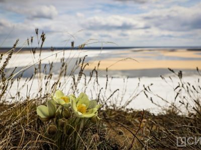 Якутских охотников призвали воздержаться от выездов на острова