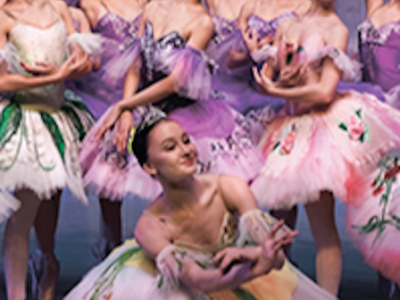 Спящая Красавица. Классический балет с видеоэффектами.