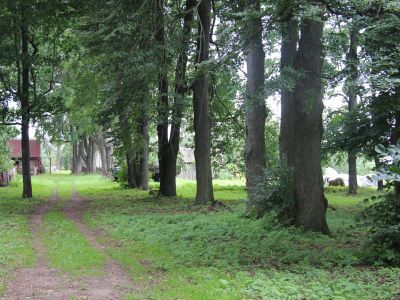 Усадебный парк