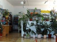 Донгузская сельская библиотека