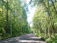 Парк Революции