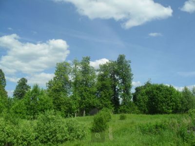 Усадьба А.А. Зотова. Парк