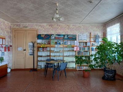 Долгомостовская взрослая сельская библиотека, филиал № 9