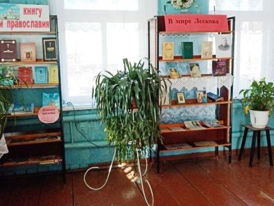 Cелищинская сельская библиотека