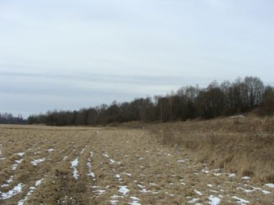 Липовая роща и источник