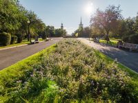 Красная площадь г. Красноярска