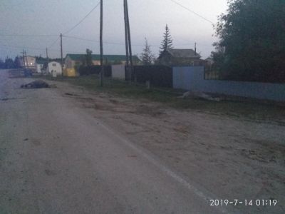 Водители, въехавшие в табун и в столб, сбежали с места ДТП, чтобы «снять стресс»