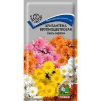 Хризантема крупноцветковая Смесь окрасок