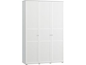Распашной шкаф Амели 3-120x220 Белый