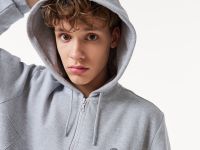 Мужская толстовка Lacoste стандартного кроя