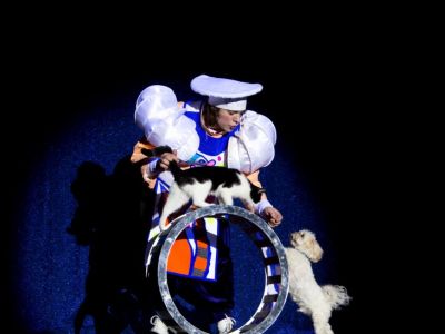 Билеты на Кот и повар (Театр кошек Куклачёва) / Театр | Афиша | ИнфоТаймс