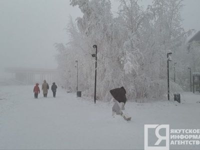 В новогоднюю ночь в ряде районов Якутии возможно небольшое потепление