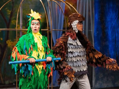 Билеты на Попугайчик Пай (Русский драматический театр им. Бестужева) / Театр | Афиша | ИнфоТаймс