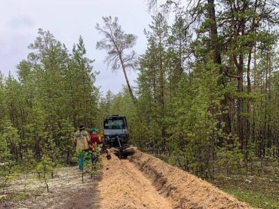 В лесах Якутии создают противопожарные полосы