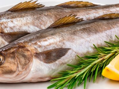 Навага: калорийность, полезные свойства, как готовить