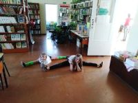 Аксентисская сельская библиотека № 9