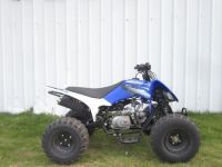 Квадроцикл МОТОМИР Pantera 125