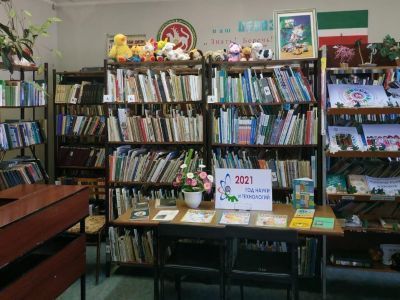 Больше-Машлякская сельская библиотека