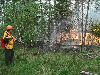 На 3 августа в Мирнинском районе действуют три лесных пожара