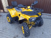 Квадроцикл MOTOLAND ATV 200 Wild Track