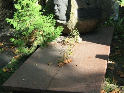 Могила - Попов Василий Степанович (1894-1967), Герой Советского Союза