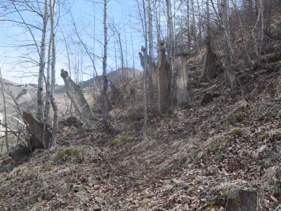 Надмогильные стелы