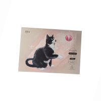 Альбом для пастели Малевичъ "GrafArt" А4 20 л 280 г, с абразивным покрытием