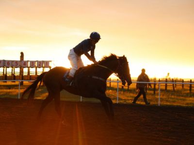 В Якутске проведут конные скачки Игр Манчаары — 2025