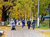 Подольский городской парк культуры и отдыха им. В. В. Талалихина