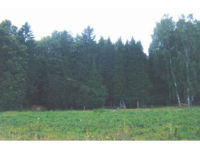 Священная роща