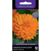 Цинния Захара Дабл Брайт Оранж (Семена Профи)