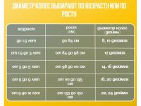 Детский велосипед Pifagor Point 16, год 2024, цвет Оранжевый-Белый
