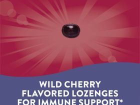 Nature's Way, Sambucus Elderberry, пастилки с бузиной и витамином C, со вкусом вишни, 24 пастилки