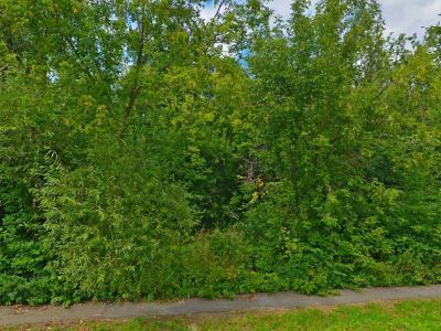 Дом, в котором жил и работал композитор Антон Степанович Аренский